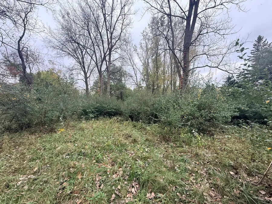 29-198/199 Woodhaven Lakes, Sublette, IL 61367 - #3