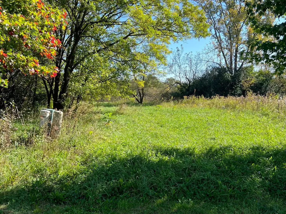 40315 N Belle Foret Drive, Wadsworth, IL 60083 - #1