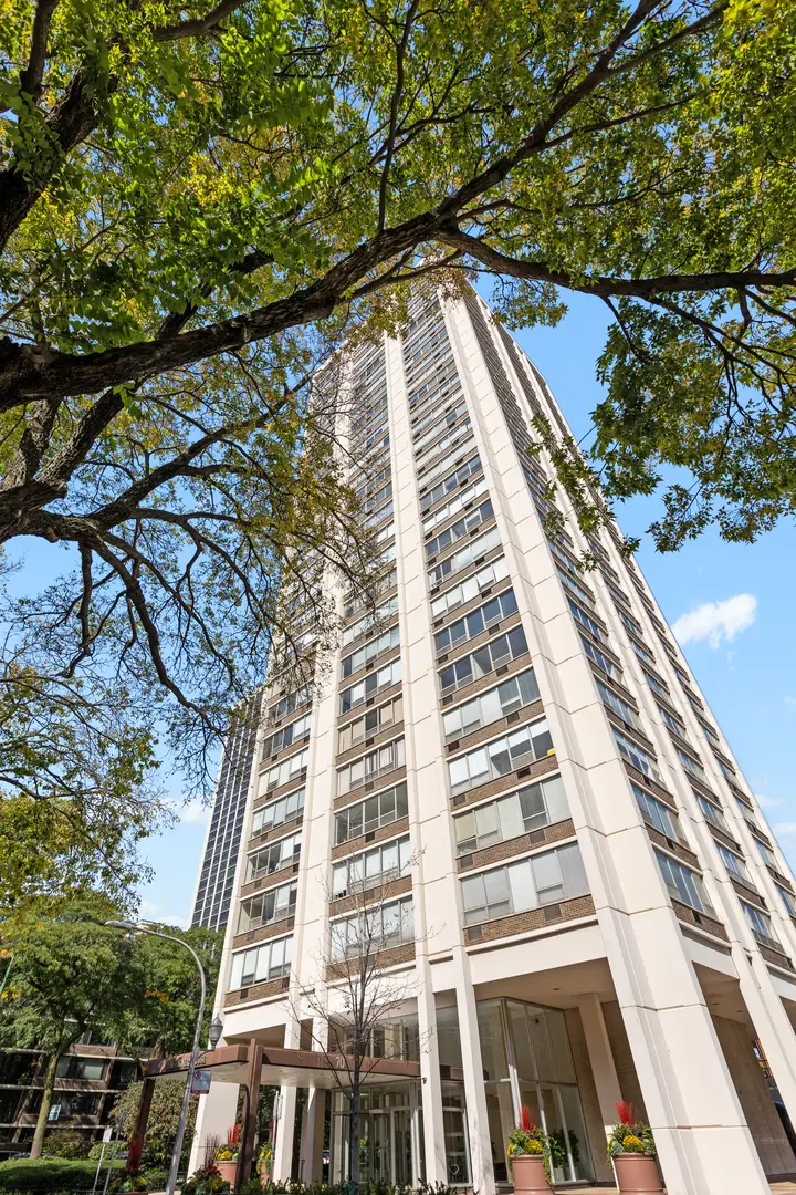 70 W Burton Place #305F, Chicago, IL 60610 - #1