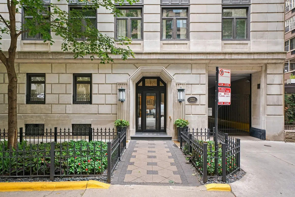 222 E Chestnut Street #5B, Chicago, IL 60611 - #1
