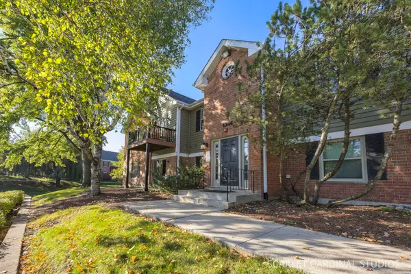 1344 Mc Dowell Road #203, Naperville, IL 60563