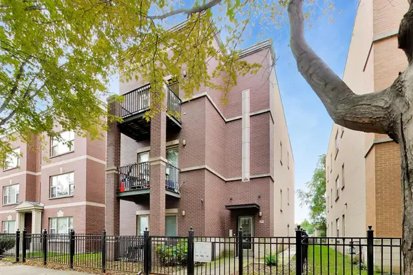 1149 W Washburne Avenue #301, Chicago, IL 60608