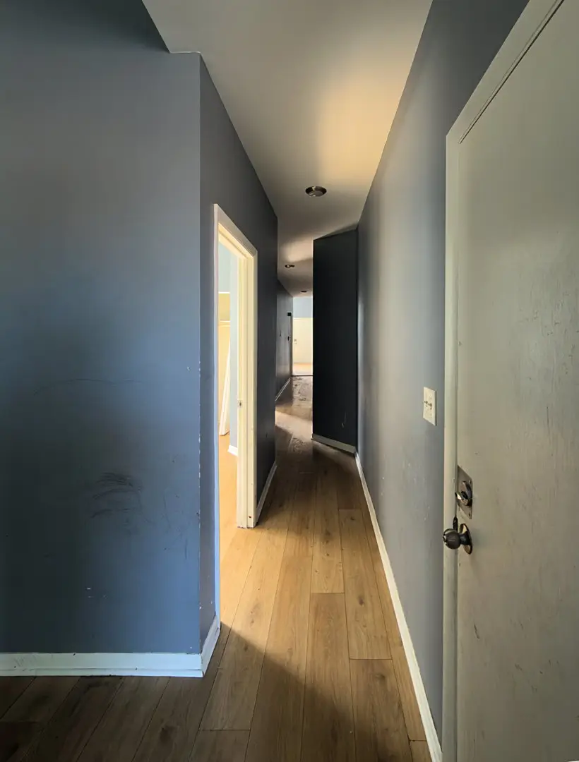 4520 S Indiana Avenue, Chicago, IL 60653 - #2