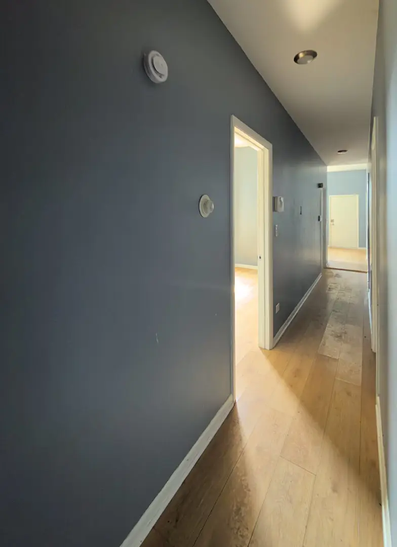 4520 S Indiana Avenue, Chicago, IL 60653 - #3