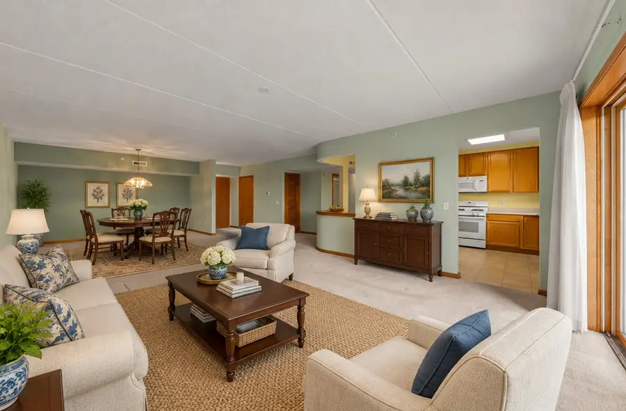 1327 E Washington Street #501, Des Plaines, IL 60016 - #3