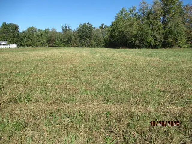 TBD W Cherry Street, Herrin, IL 62948 - #1