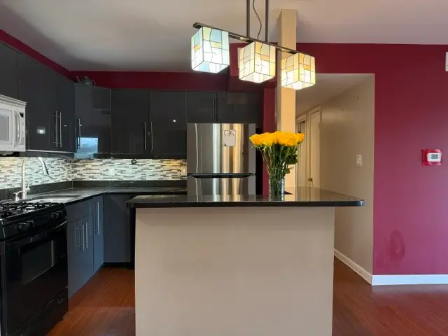 9840 S Pulaski Road #211-4, Oak Lawn, IL 60453 - #2
