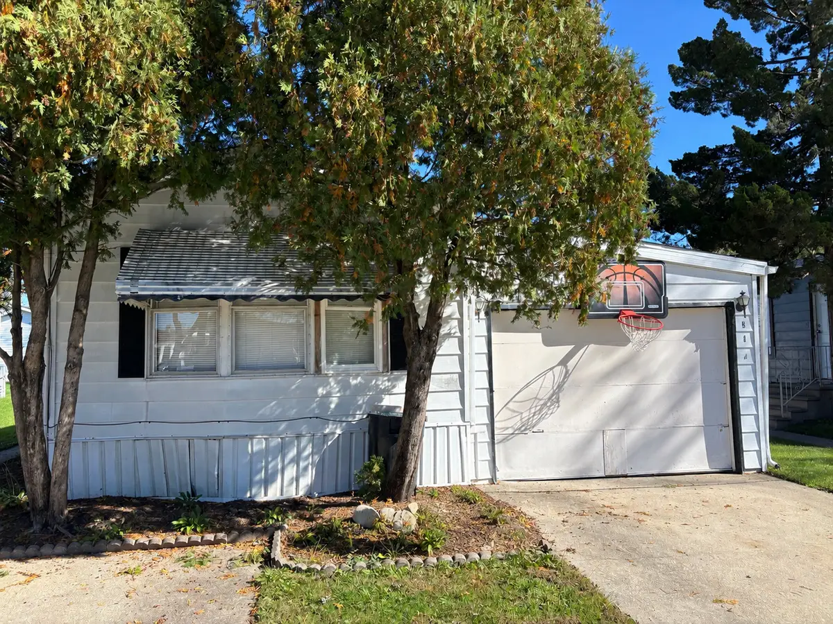 313 Briarbranch Road, Matteson, IL 60443 - #1