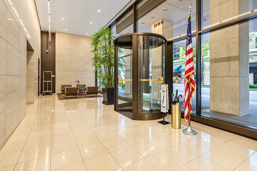 260 E Chestnut Street #1203, Chicago, IL 60611 - #3