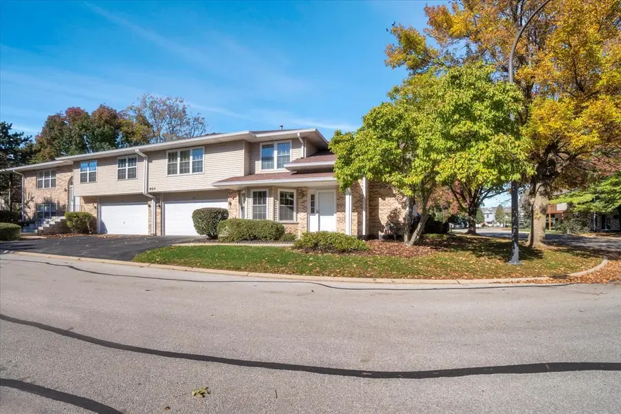 920 Elderberry Circle #104, Naperville, IL 60563 - #3
