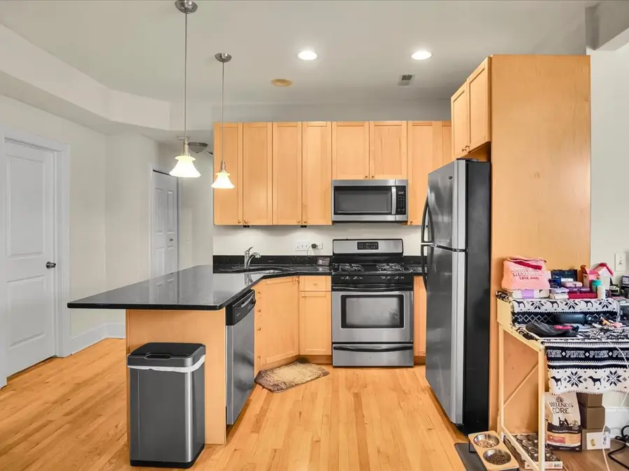 7635.5 N Greenview Avenue #3S, Chicago, IL 60626 - #3