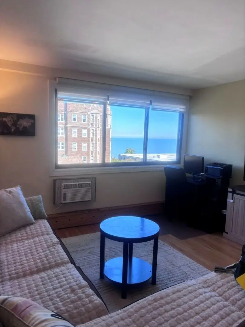 6300 N Sheridan Road #717, Chicago, IL 60660 - #3