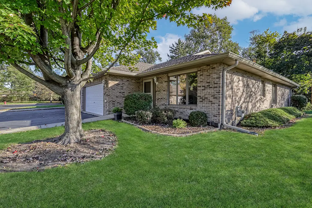 133 Batson Court, New Lenox, IL 60451 - #1