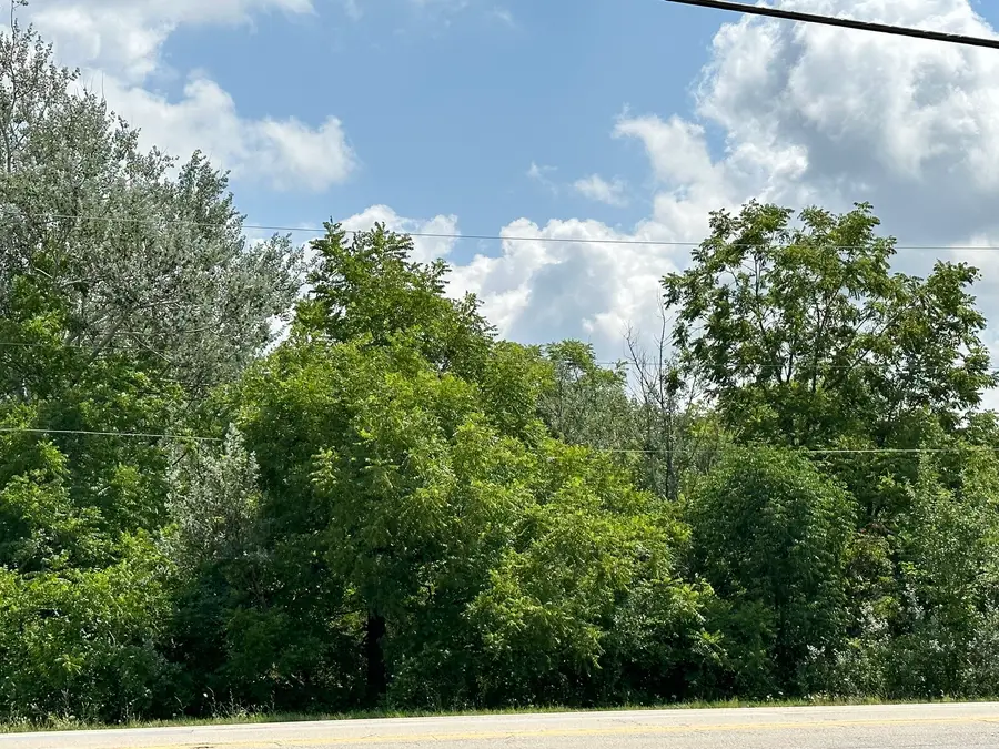 14463 S Bell Road, Homer Glen, IL 60491 - #3