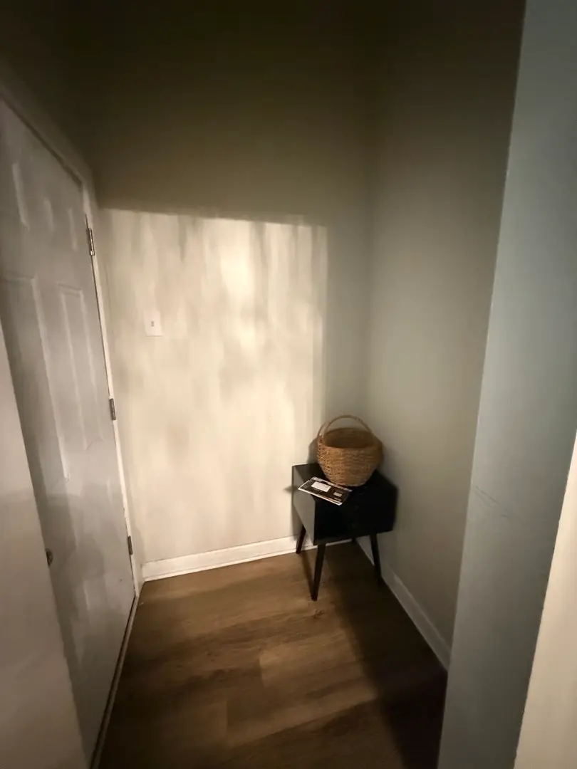 528 E 46th Place, Chicago, IL 60653 - #2
