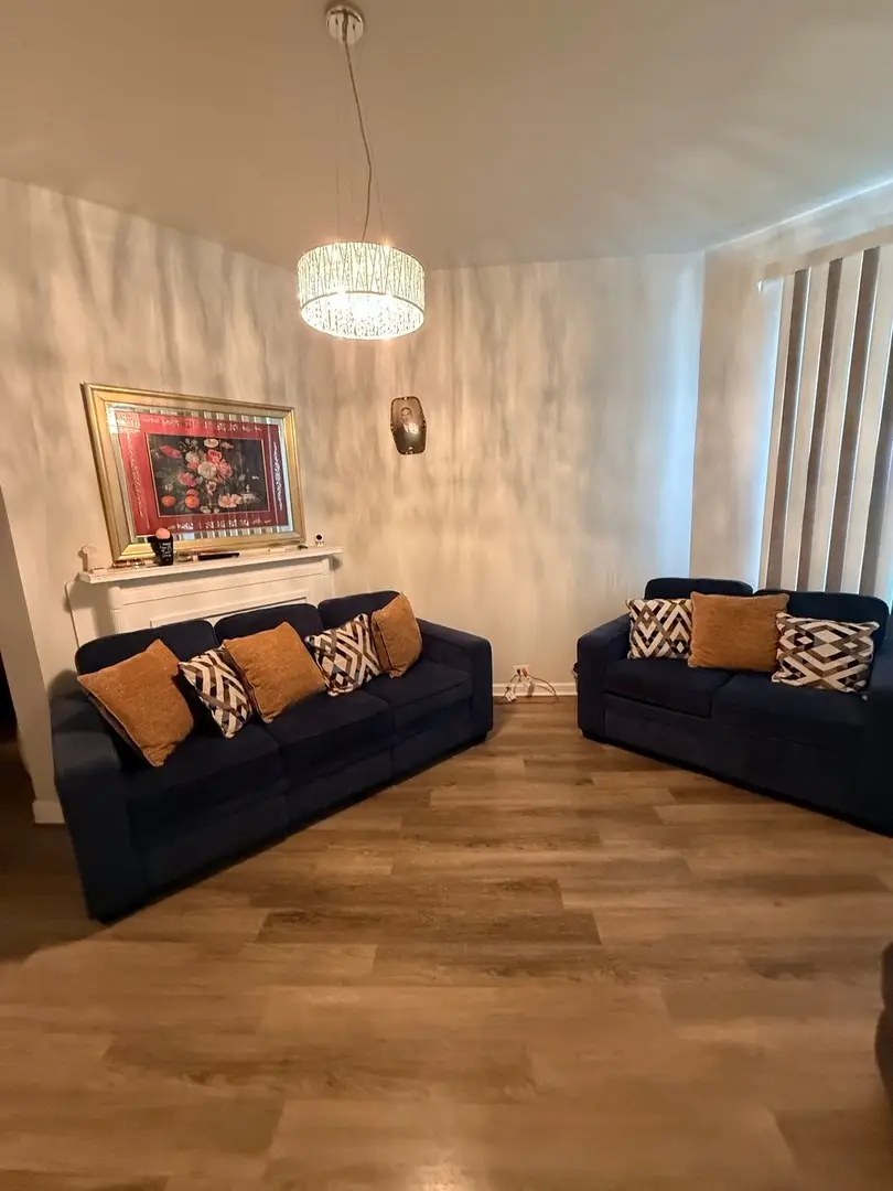 528 E 46th Place, Chicago, IL 60653 - #3