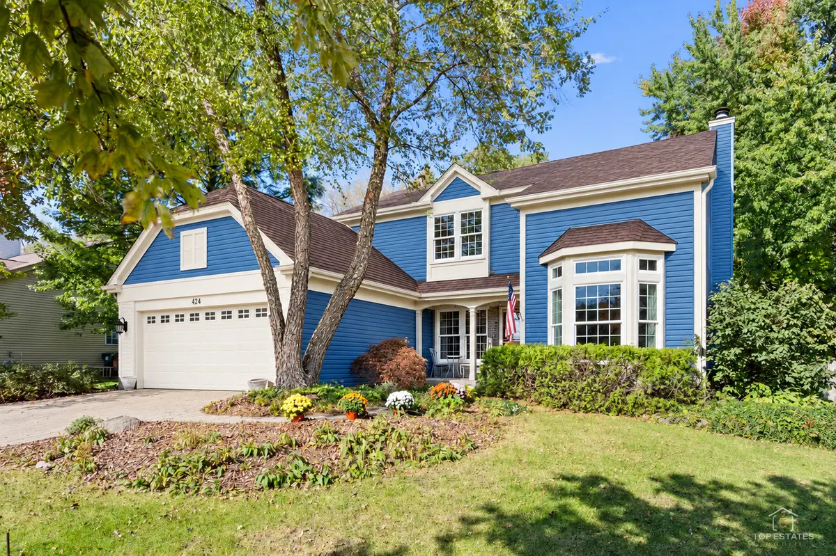 424 Harbor Drive, Carpentersville, IL 60110 - #1