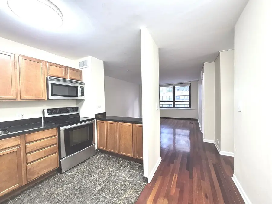 222 E Pearson Street #1107, Chicago, IL 60611 - #3