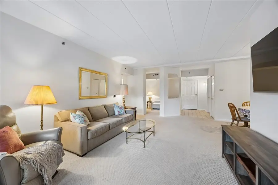 1200 S Prospect Avenue #103, Elmhurst, IL 60126 - #3