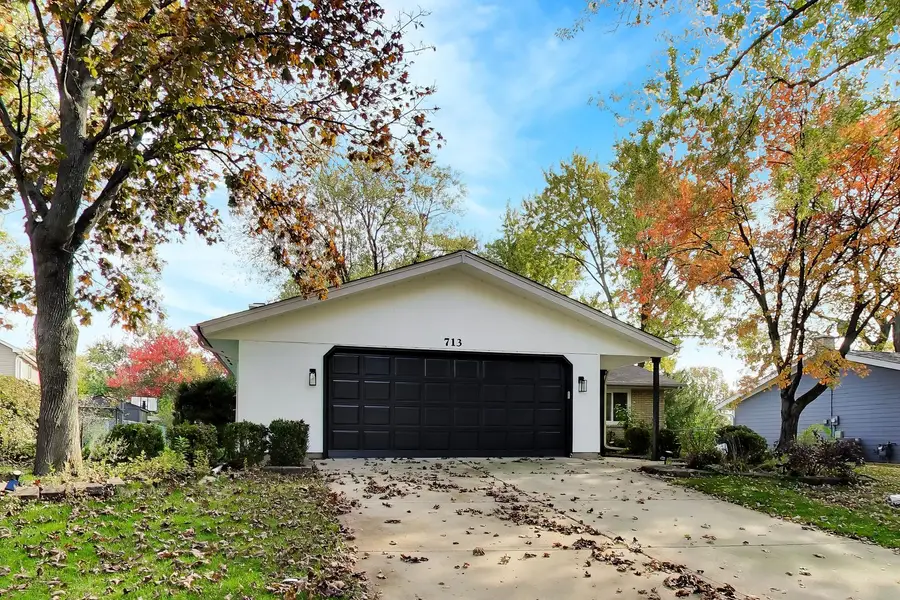 713 Slingerland Drive, Schaumburg, IL 60193 - #2