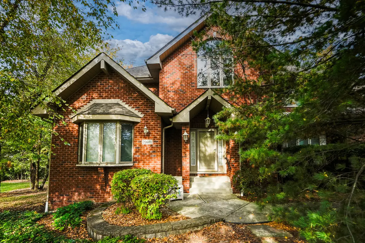 20680 Francisca Way, Frankfort, IL 60423 - #1