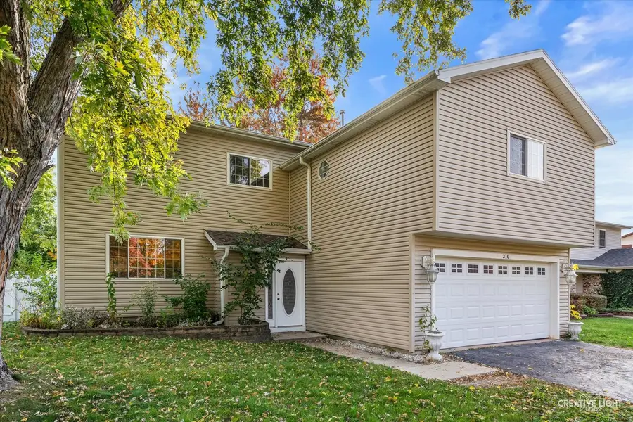 310 Drake Avenue, Bolingbrook, IL 60490 - #2
