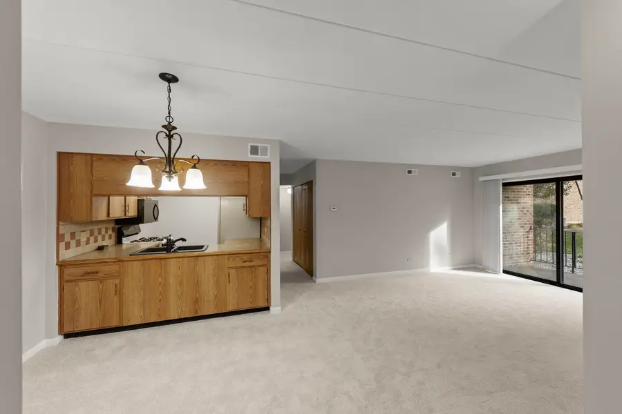 13434 W Circle Drive #102, Crestwood, IL 60418 - #2
