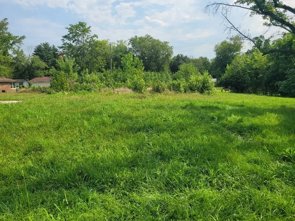 950 Apricot Avenue, Mount Vernon, IL 62864 - #1