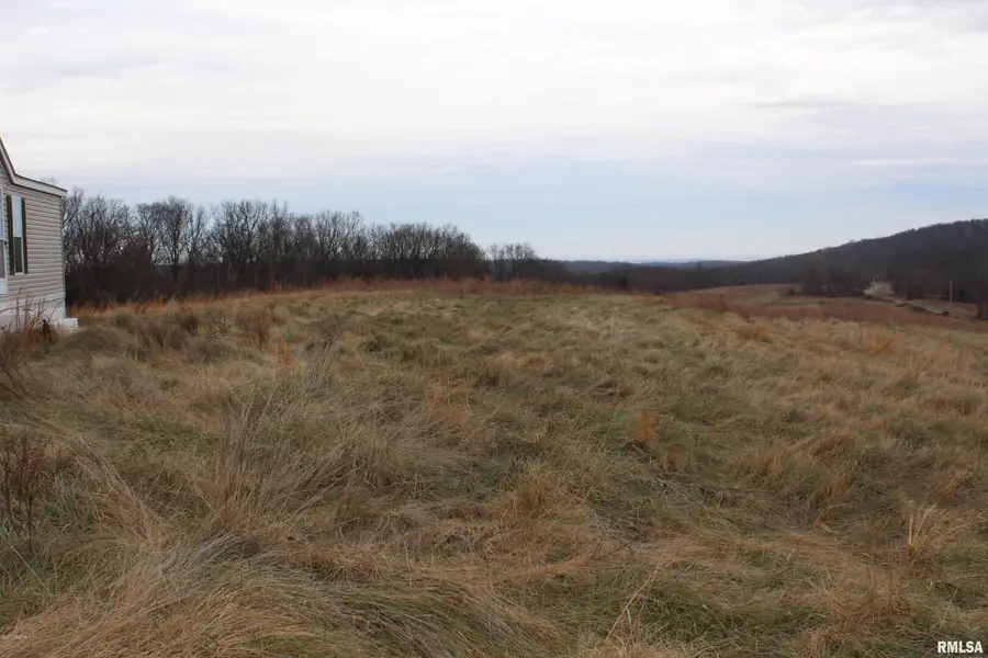 0000 Bruce Johnson Road, Herod, IL 62947 - Image #2