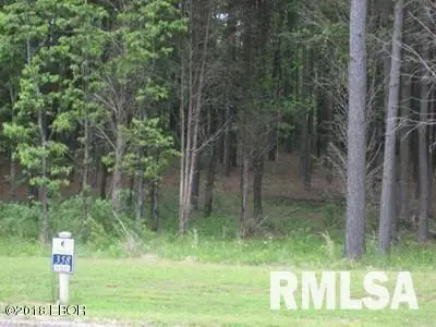 Lot 358 Parrish Ridge Lane, Goreville, IL 62939