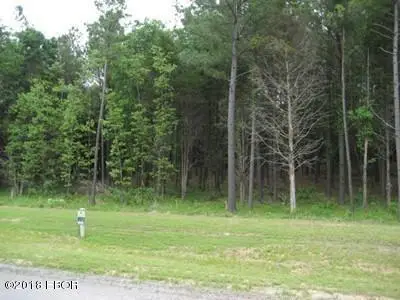 Lot 358 Parrish Ridge Lane, Goreville, IL 62939 - Image #3