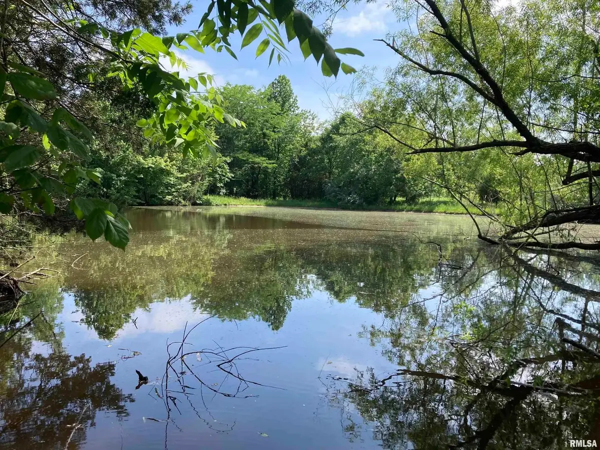 0000 Parrish Ridge Lane, Goreville, IL 62939 - Image #1