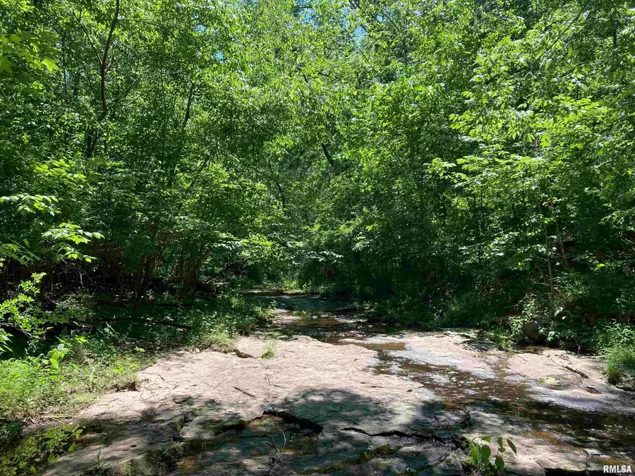 0000 Parrish Ridge Lane, Goreville, IL 62939 - Image #3