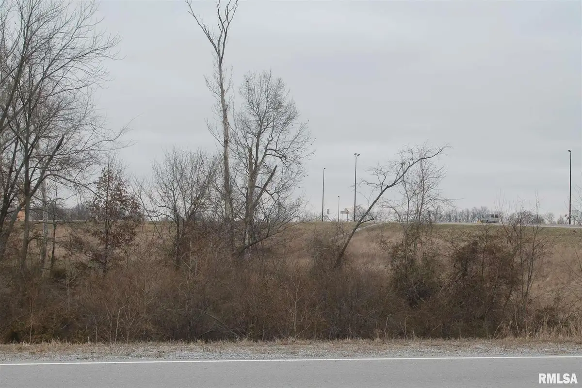 0006 Donna Drive, Crainville, IL 62918 - #1