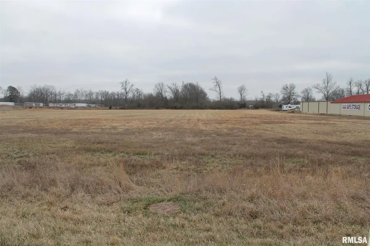 0007 Donna Drive, Crainville, IL 62918 - #1