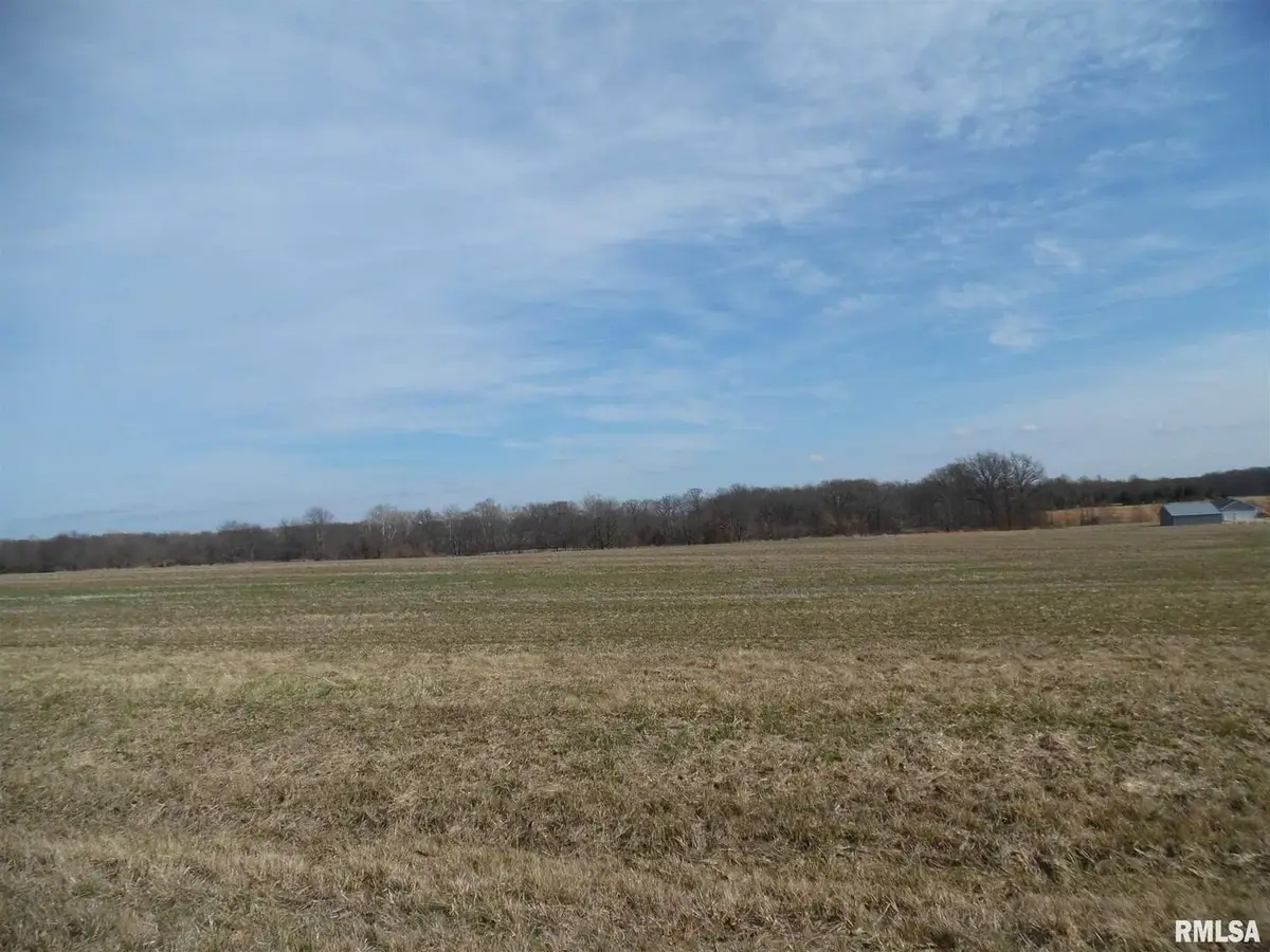Tract 3 N Mcdermott Lane, Mount Vernon, IL 62864 - Image #1