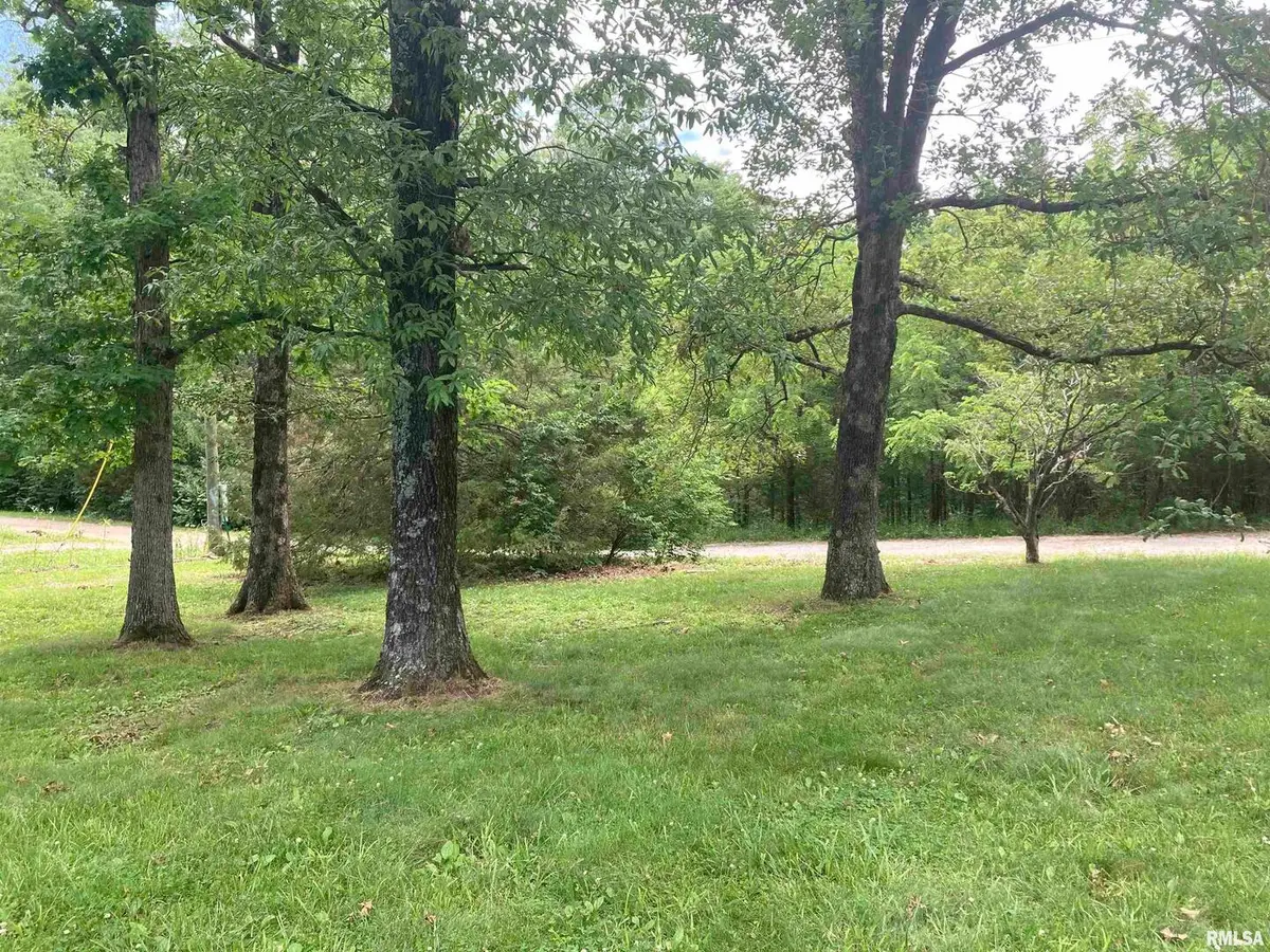 110 Cherokee Drive, Goreville, IL 62939 - Image #1