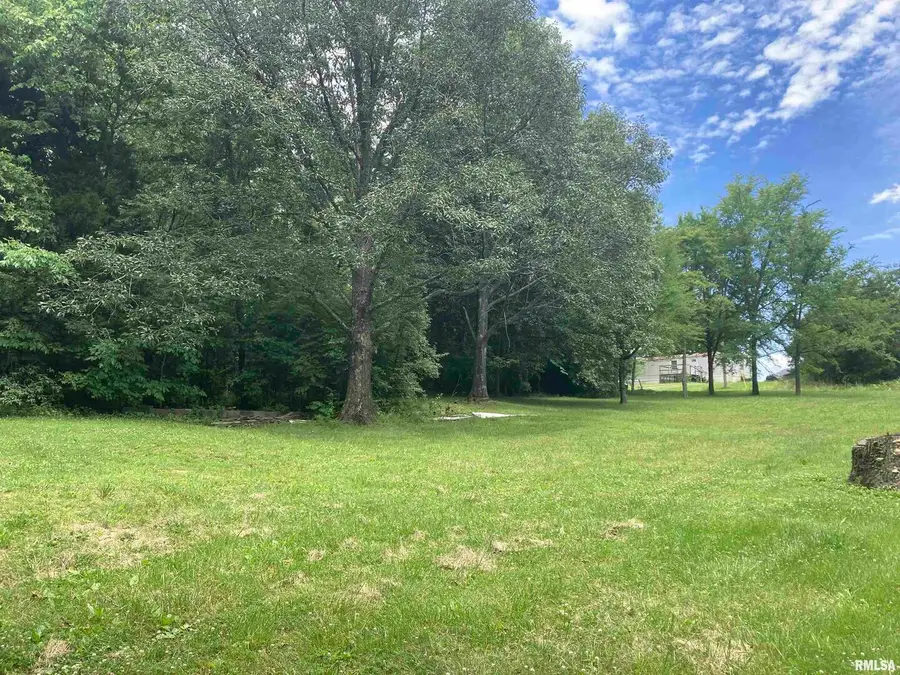 110 Cherokee Drive, Goreville, IL 62939 - Image #2