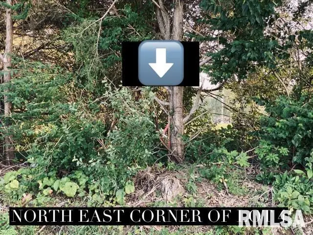 Lot 3 Falcon Road, Carbondale, IL 62901 - Image #2