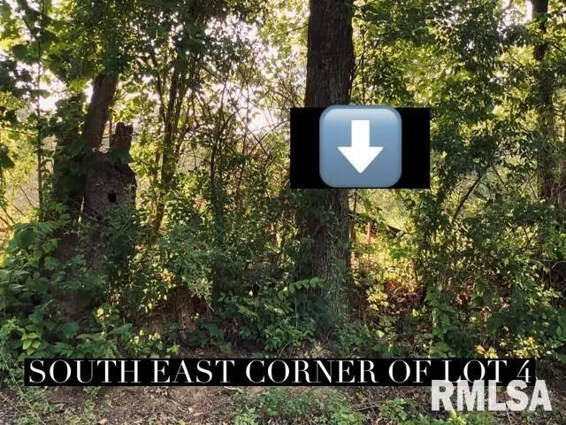 Lot 3 Falcon Road, Carbondale, IL 62901 - Image #3