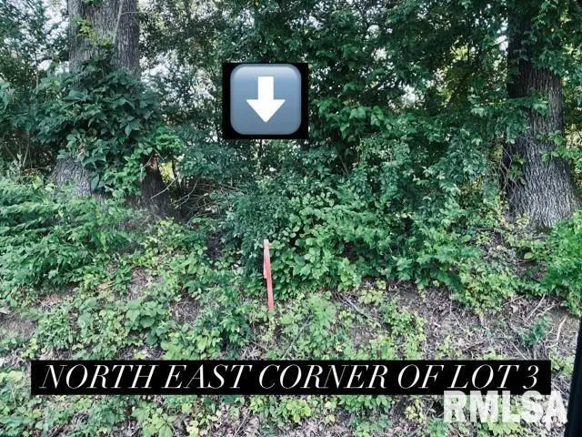 Lot 5 Falcon Road, Carbondale, IL 62901 - Image #2