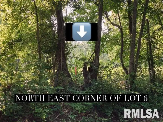 Lot 4 Falcon Road, Carbondale, IL 62901 - Image #2