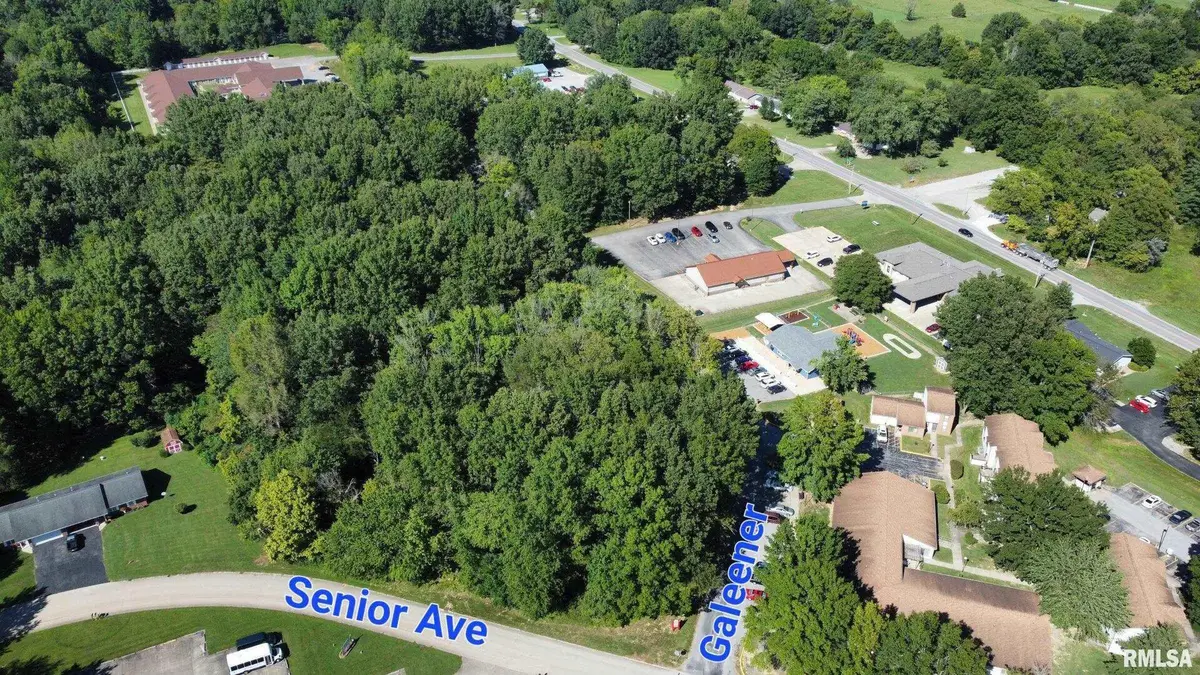 000 Galeener Street, Vienna, IL 62995 - #1