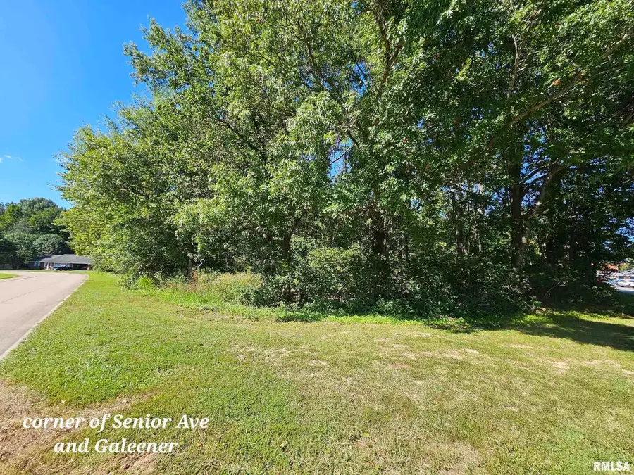 000 Galeener Street, Vienna, IL 62995 - #2