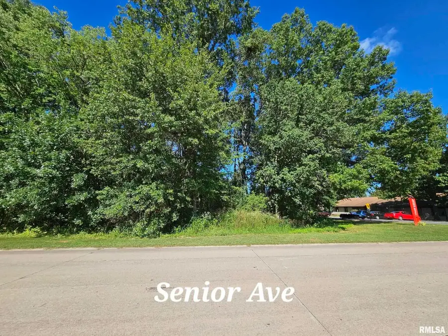 000 Galeener Street, Vienna, IL 62995 - #3