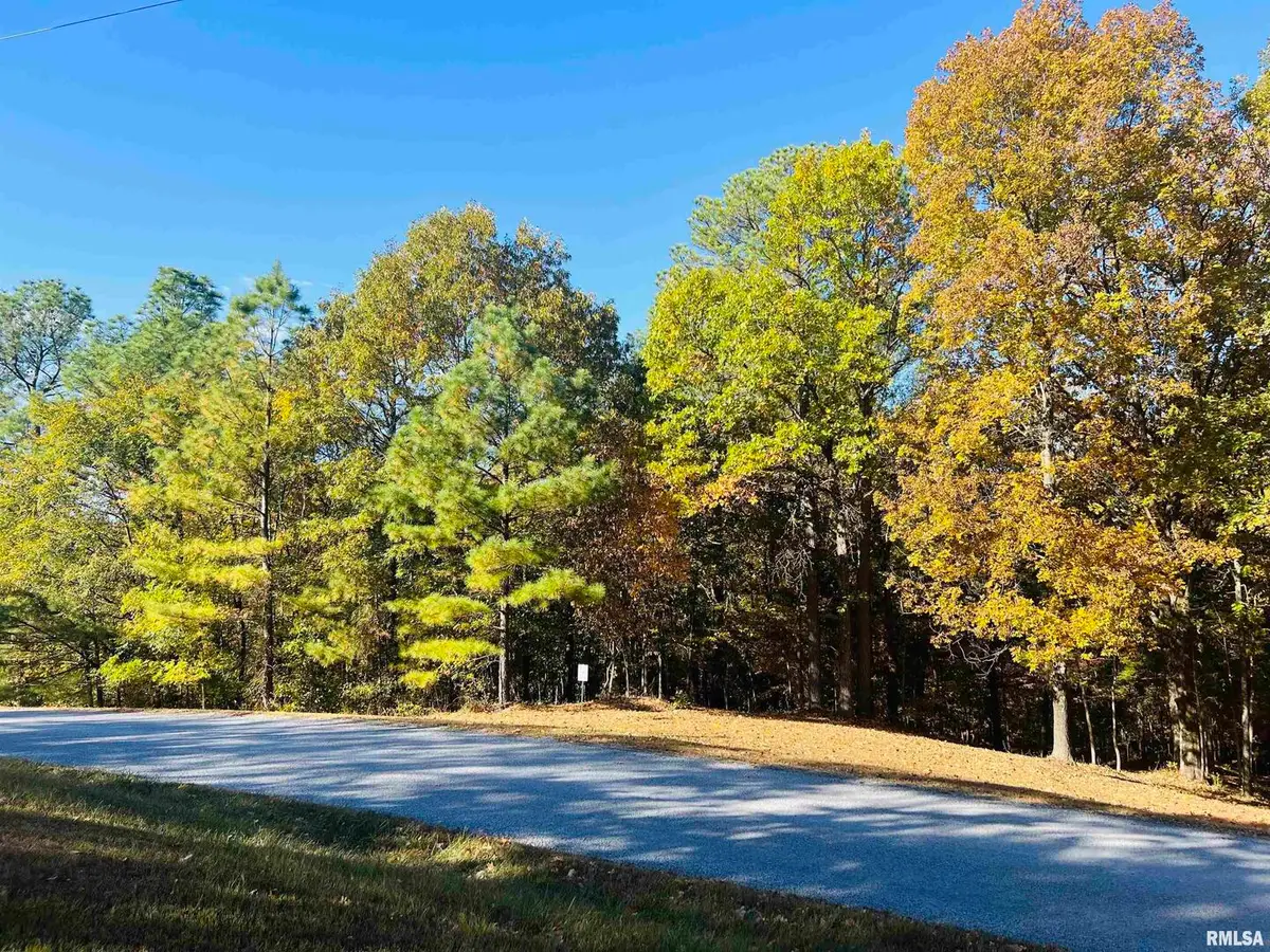 Lot 39 & 40 Luxor Landing Lane, Goreville, IL 62939 - Image #1