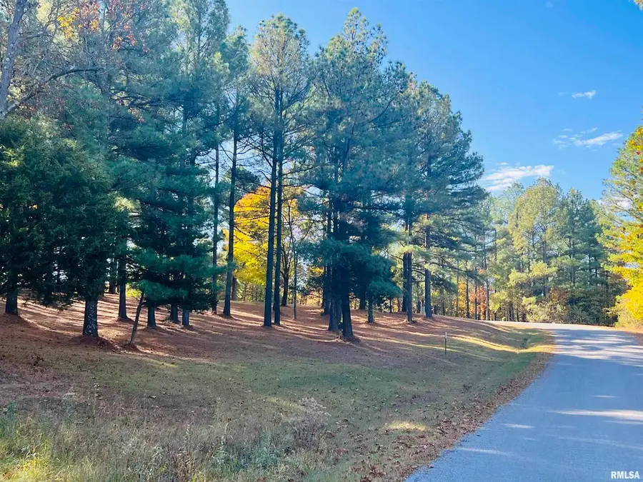 Lot 39 & 40 Luxor Landing Lane, Goreville, IL 62939 - Image #2