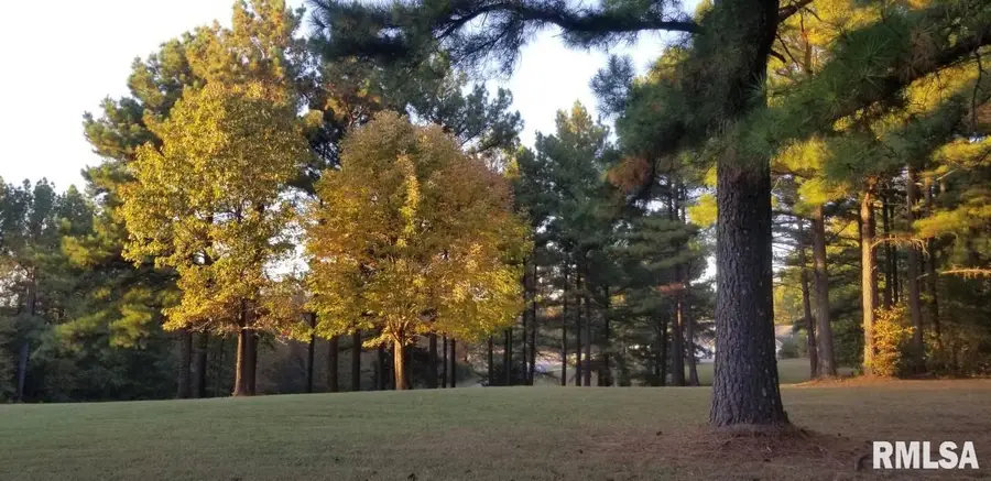 Lot 39 & 40 Luxor Landing Lane, Goreville, IL 62939 - Image #3