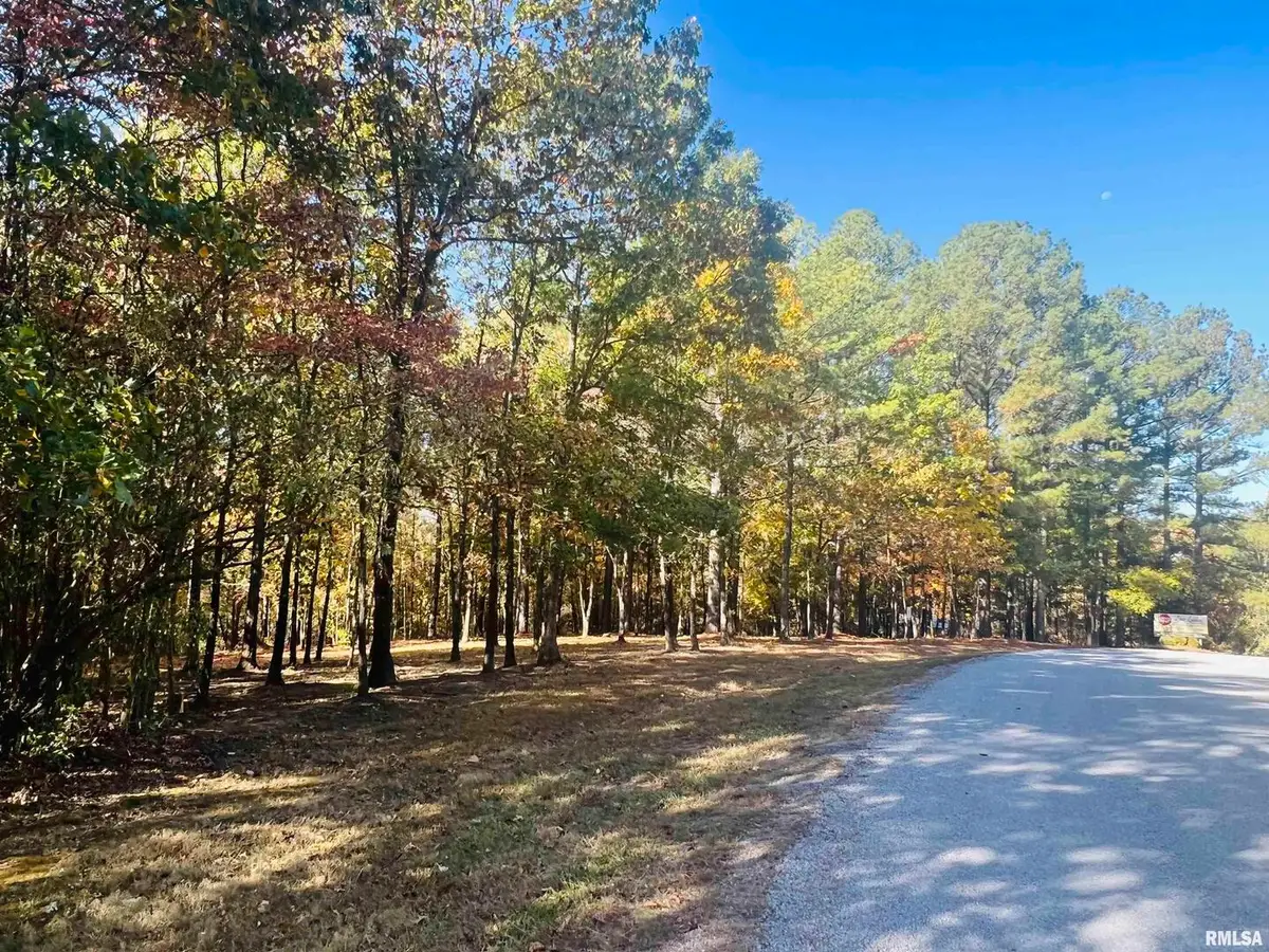 Lot 41 Luxor Landing Lane, Goreville, IL 62939 - Image #1