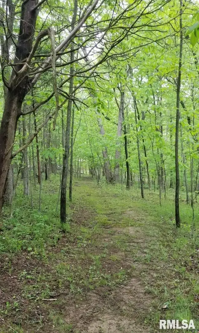 Lot 41 Luxor Landing Lane, Goreville, IL 62939 - Image #2